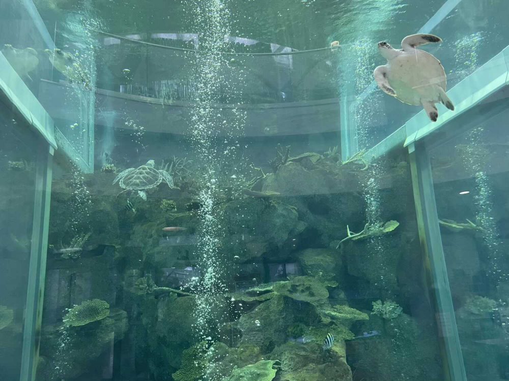 奄美海洋展示館