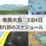 奄美大島3泊4日の子連れ旅行のスケジュール（1）【雨の日多め】