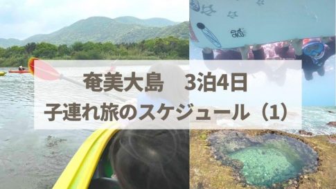 奄美大島3泊4日の子連れ旅行のスケジュール（1）【雨の日多め】