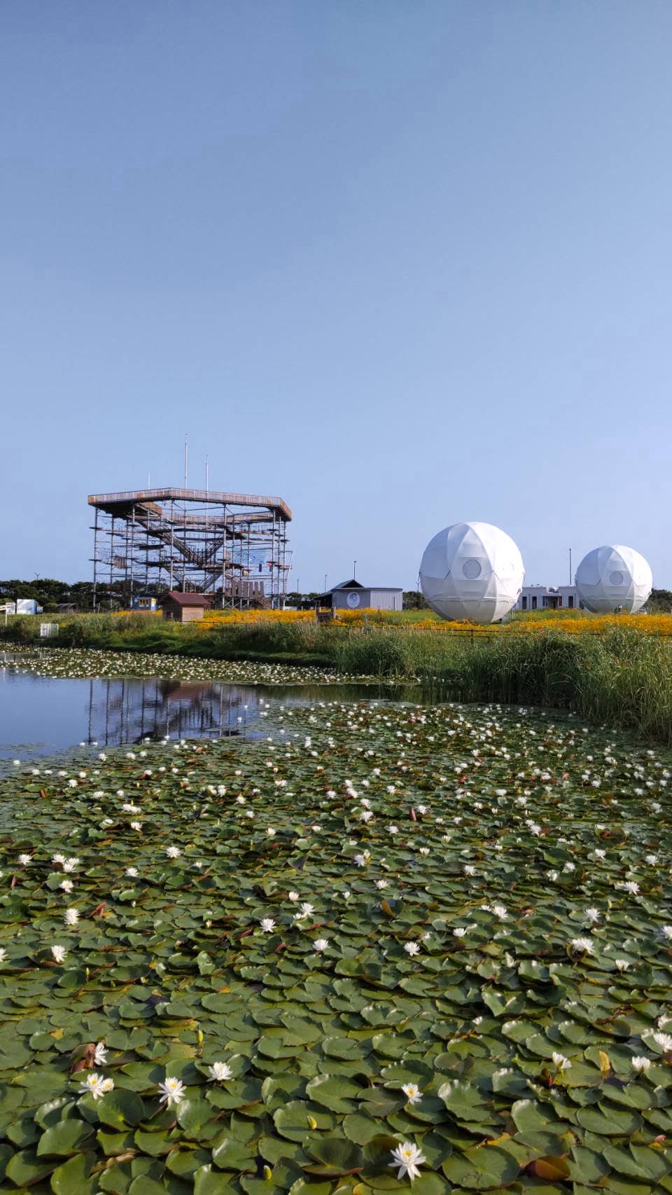 インザパーク福岡