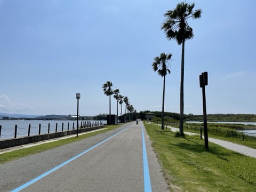 インザパーク福岡のサイクリング