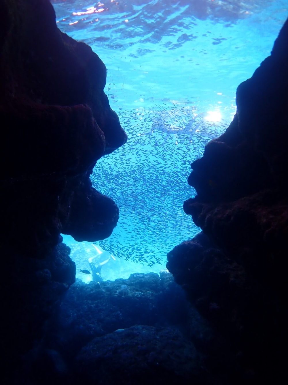 青の洞窟＋八重干瀬シュノーケリングツアー