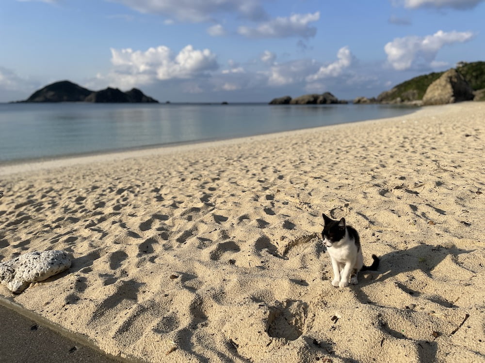 阿波連ビーチ