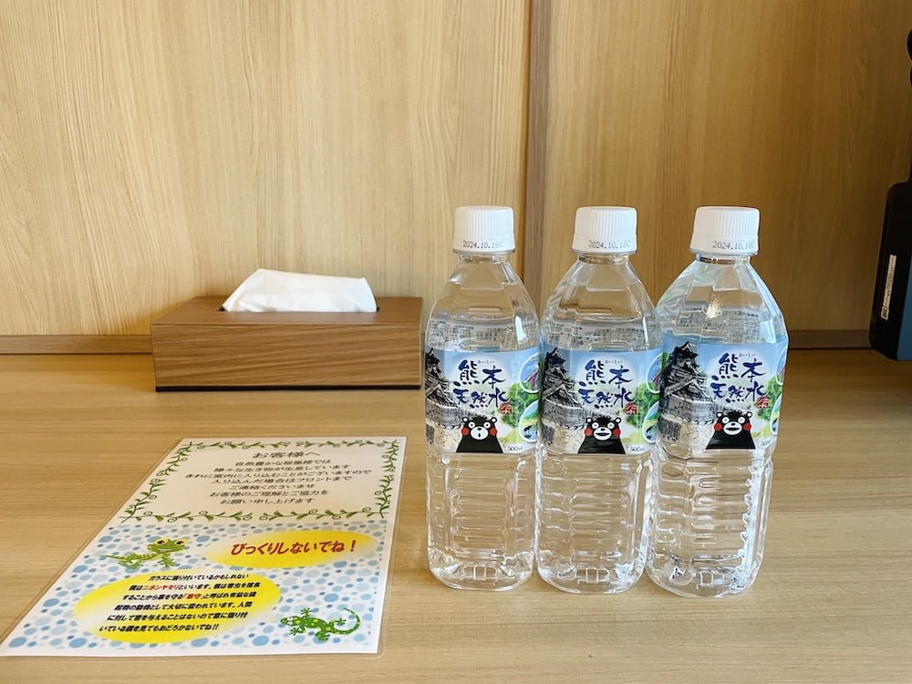 人吉温泉旅館 翠嵐楼