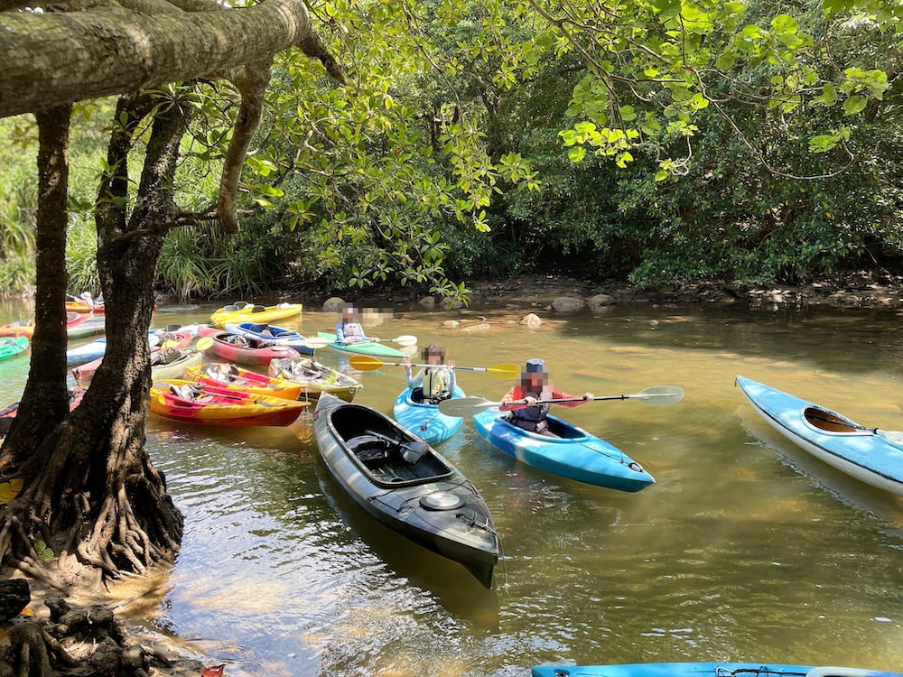 ピナイサーラの滝ツアー
