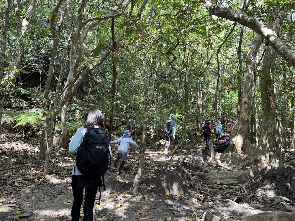 ピナイサーラの滝ツアー