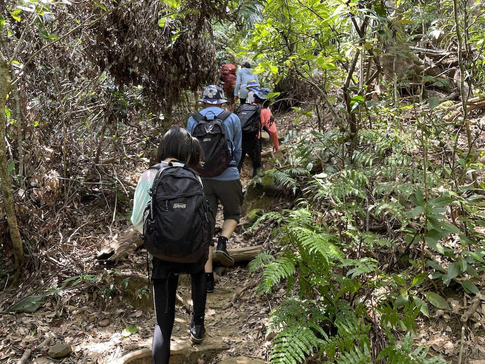 ピナイサーラの滝ツアー
