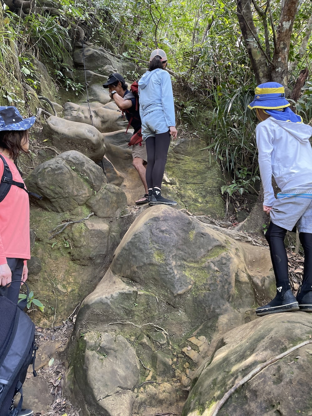ピナイサーラの滝ツアー