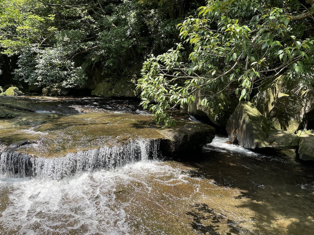 ピナイサーラの滝ツアー