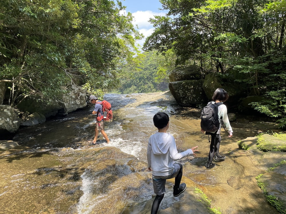 ピナイサーラの滝ツアー