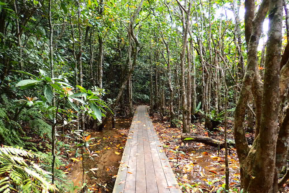 ピナイサーラの滝ツアー
