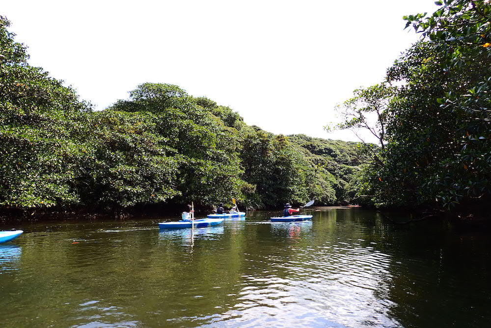 ピナイサーラの滝ツアー