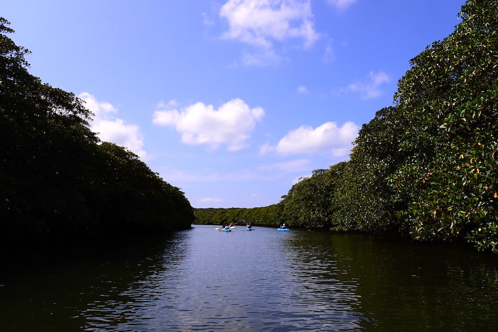 ピナイサーラの滝ツアー