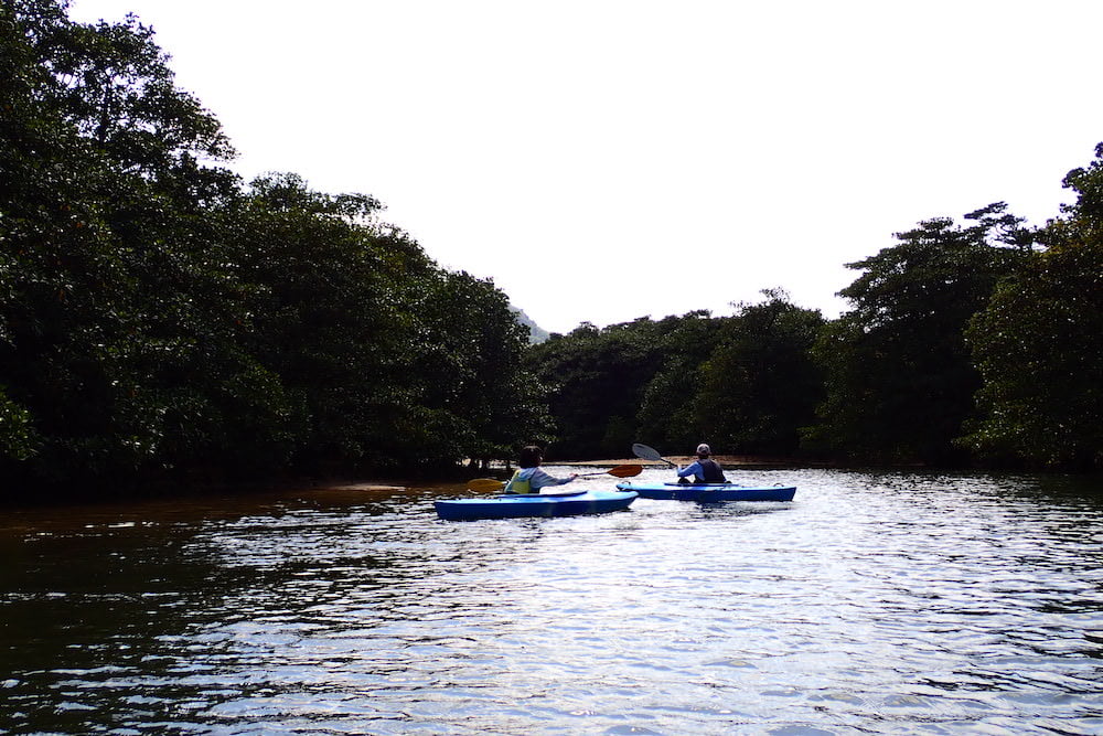 ピナイサーラの滝ツアー