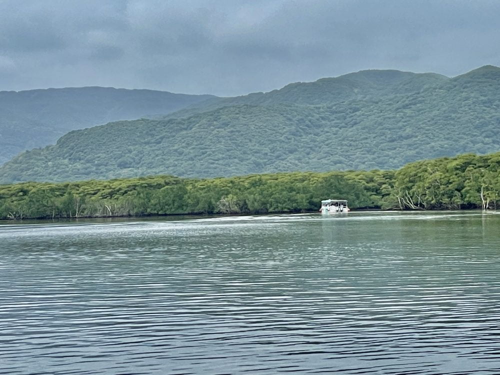 仲間川リバークルーズ